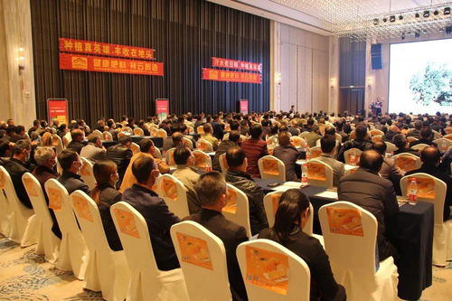 祥云杯臍橙英雄 軟件設(shè)計(jì)賦能種植真英雄，技術(shù)培訓(xùn)提升品牌影響力